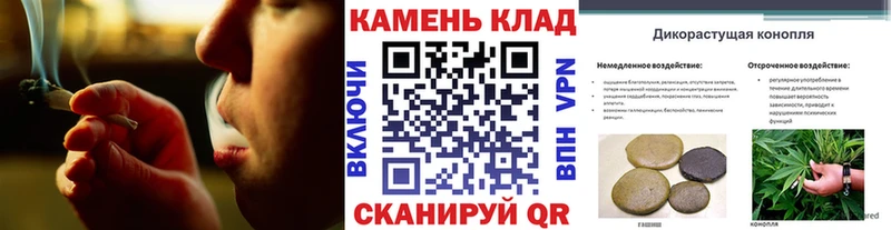 Купить закладки  Вяземский  ГАШ AMNESIA HAZE 