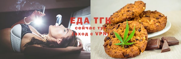 индика Алексин