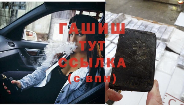сатива Арсеньев