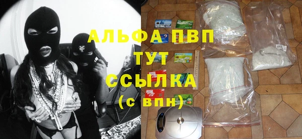 сатива Арсеньев