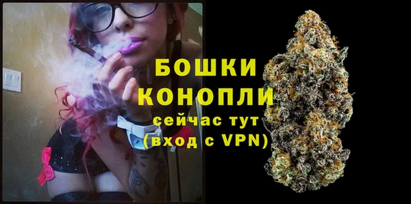 apvp Аркадак