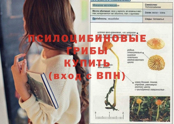 MESCALINE Армянск