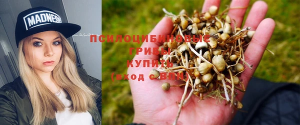 apvp Аркадак