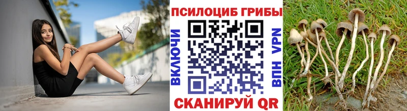 Псилоцибиновые грибы мухоморы  Купить  Вяземский 